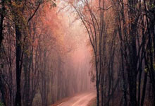 海南天涯论坛热议琼海新变化