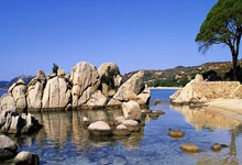 煮酒论史天涯论坛：那些年，我们没聊完的历史话题！